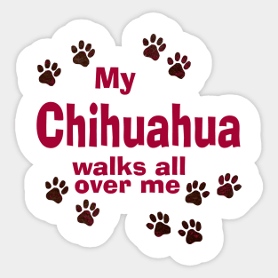 My Chihuahua Walks All Over Me Sticker